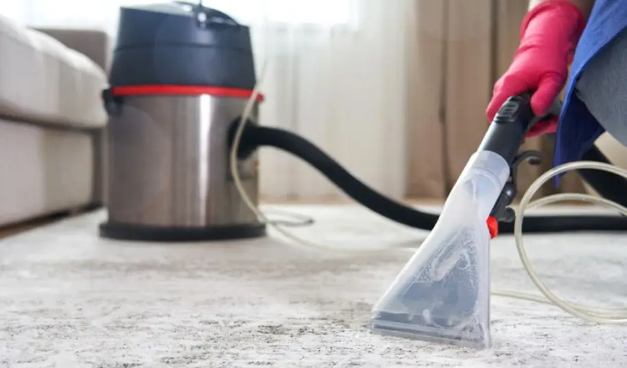 Entretien et nettoyage professionnel de moquettes à Mérignac