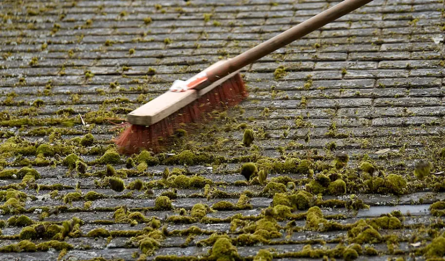 Nettoyage de toiture professionnel à Mérignac